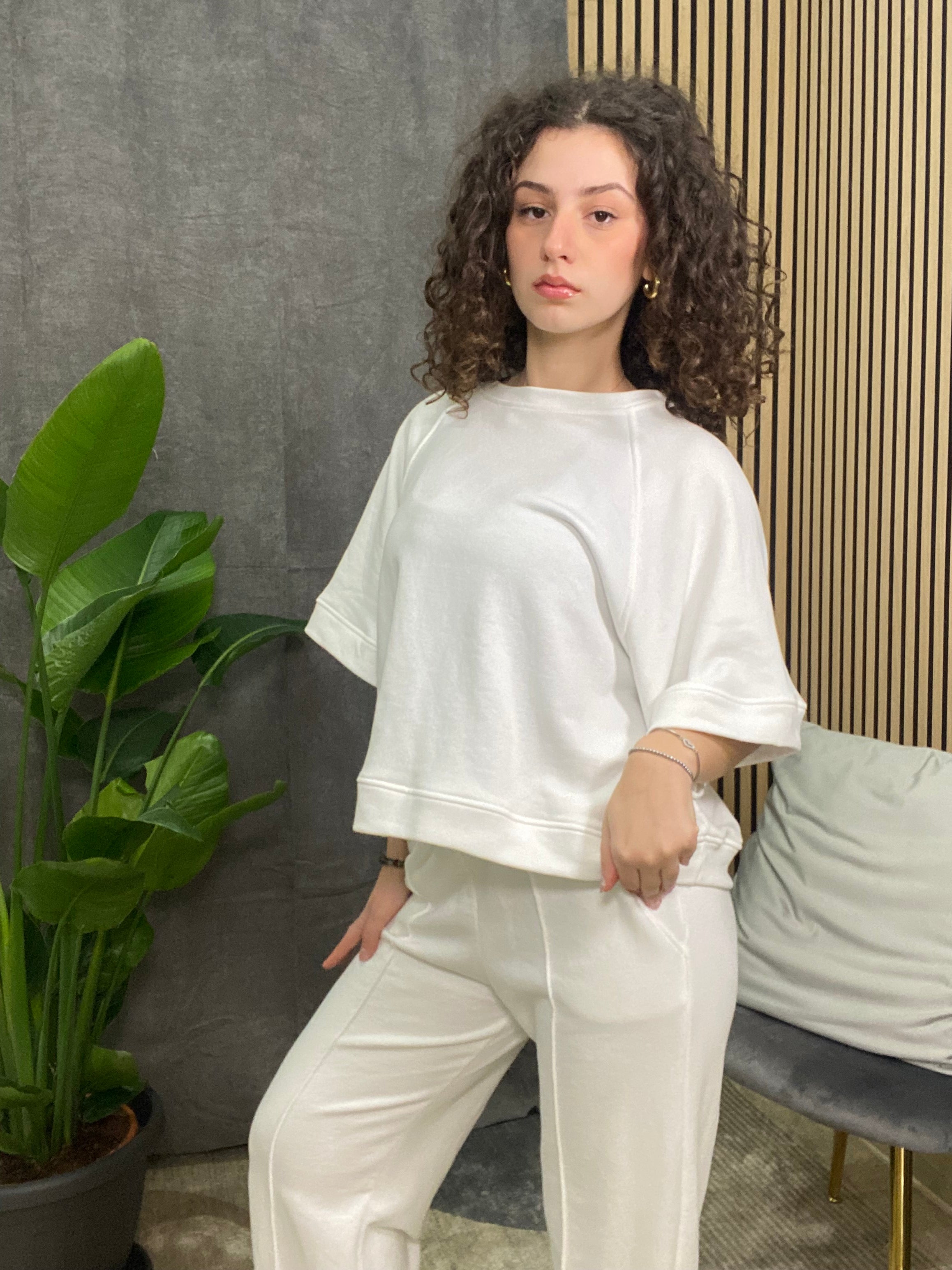 Coordinato Zeudi